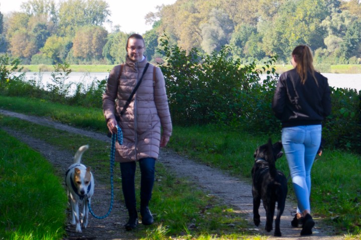 Begegnungstraining – entspannt & souverän durch jede Situation
